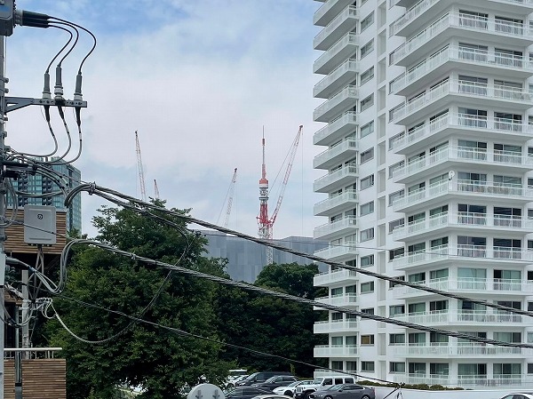 パークコート三田綱町　東京タワー