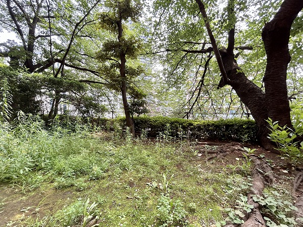 ペアシティ花房山　テラスB