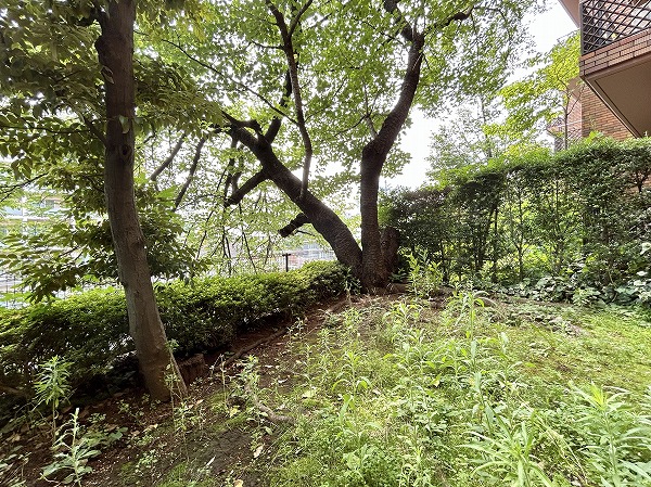 ペアシティ花房山　テラスC