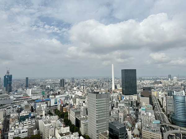 ブリリアタワー池袋　景色