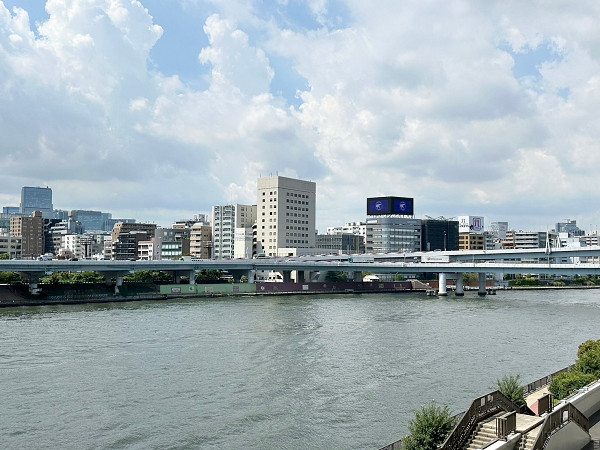 東京アインスリバーサイドタワー　景色　眺望